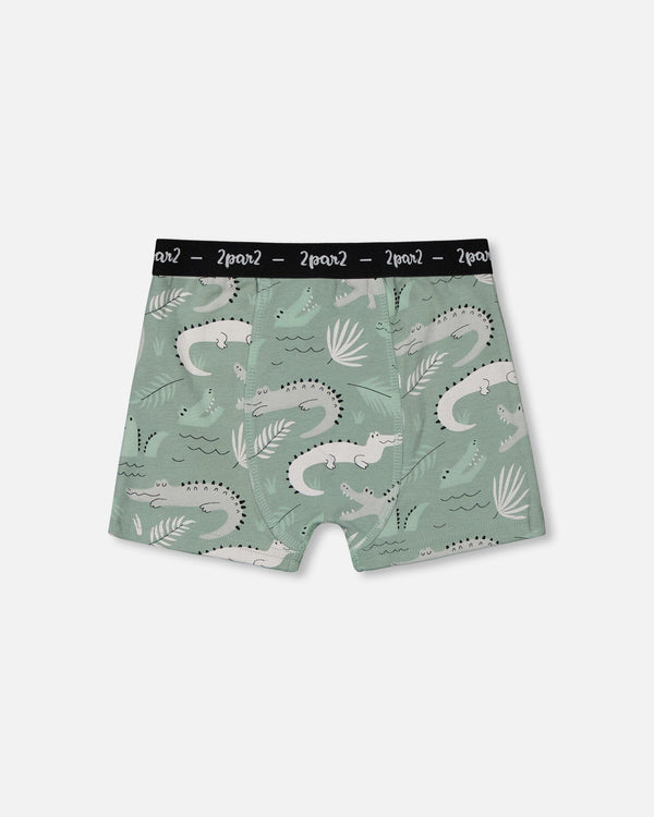 Printed Organic Cotton Boxer Shorts Light Sage And Gray Crocodile - G30PB60_043
