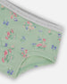 Printed Organic Cotton Boyshort Panty Small Pink And Blue Flowers On Light Sage - G30PG60_029