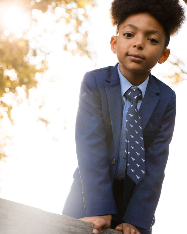 Neck Tie Navy Blue And Dino - G30RCR_484