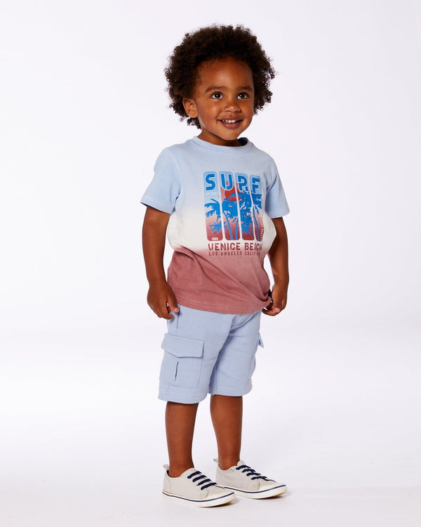 Short Sleeve Organic Cotton Graphic Tee Gradient Pale Blue And Dark Old Rose - G30T71_676