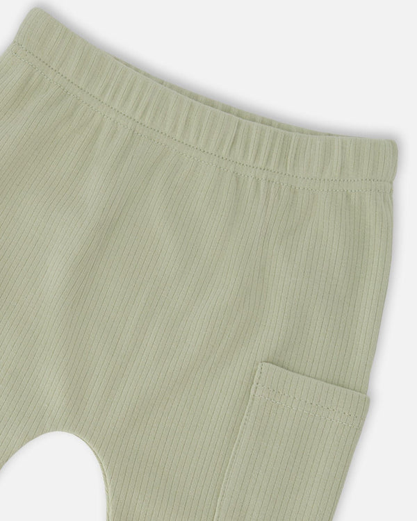 Organic Cotton Jersey T-Shirt And Cotton Rib Pants Set Beige Zebra Print And Sage Green - H30C14_3H054