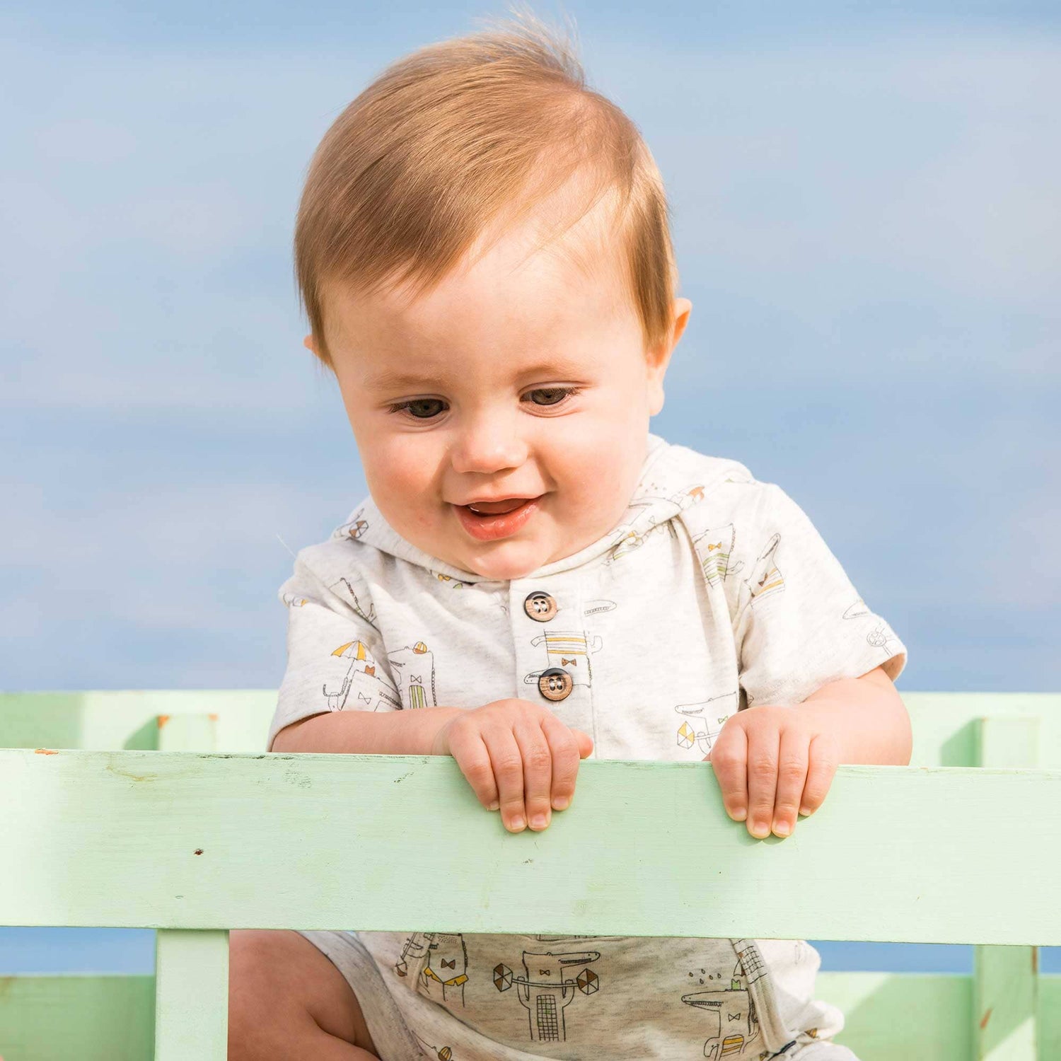 Nestor The Alligator