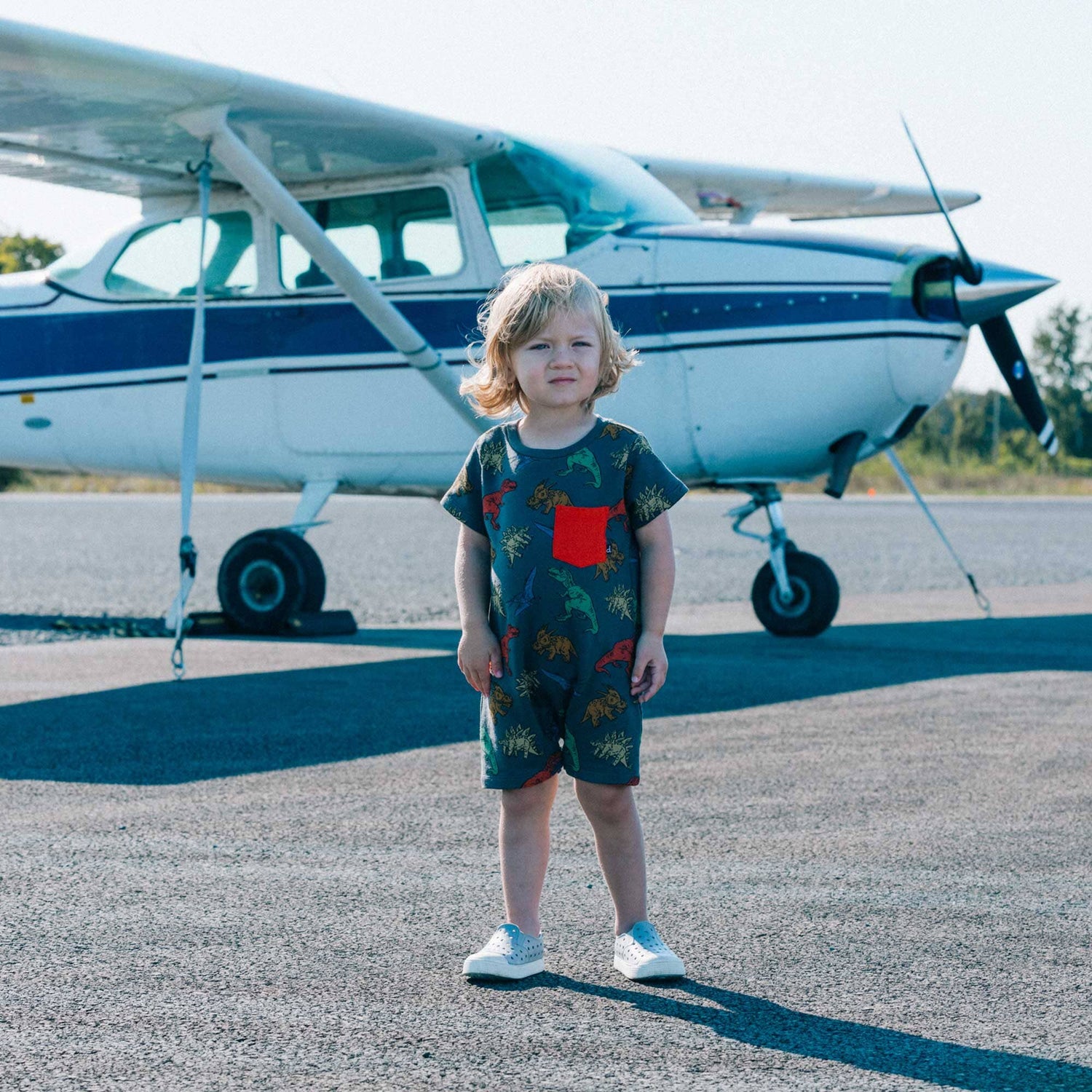 Little Paleontologist