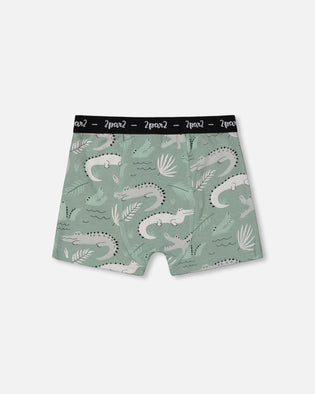 Printed Organic Cotton Boxer Shorts Light Sage And Gray Crocodile - G30PB60_043