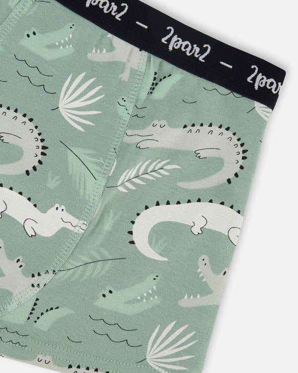 Printed Organic Cotton Boxer Shorts Light Sage And Gray Crocodile - G30PB60_043