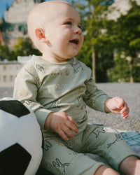 Organic Cotton Jersey Sweater And Pants Set Sage Green Animal Print - H30C12_3H053